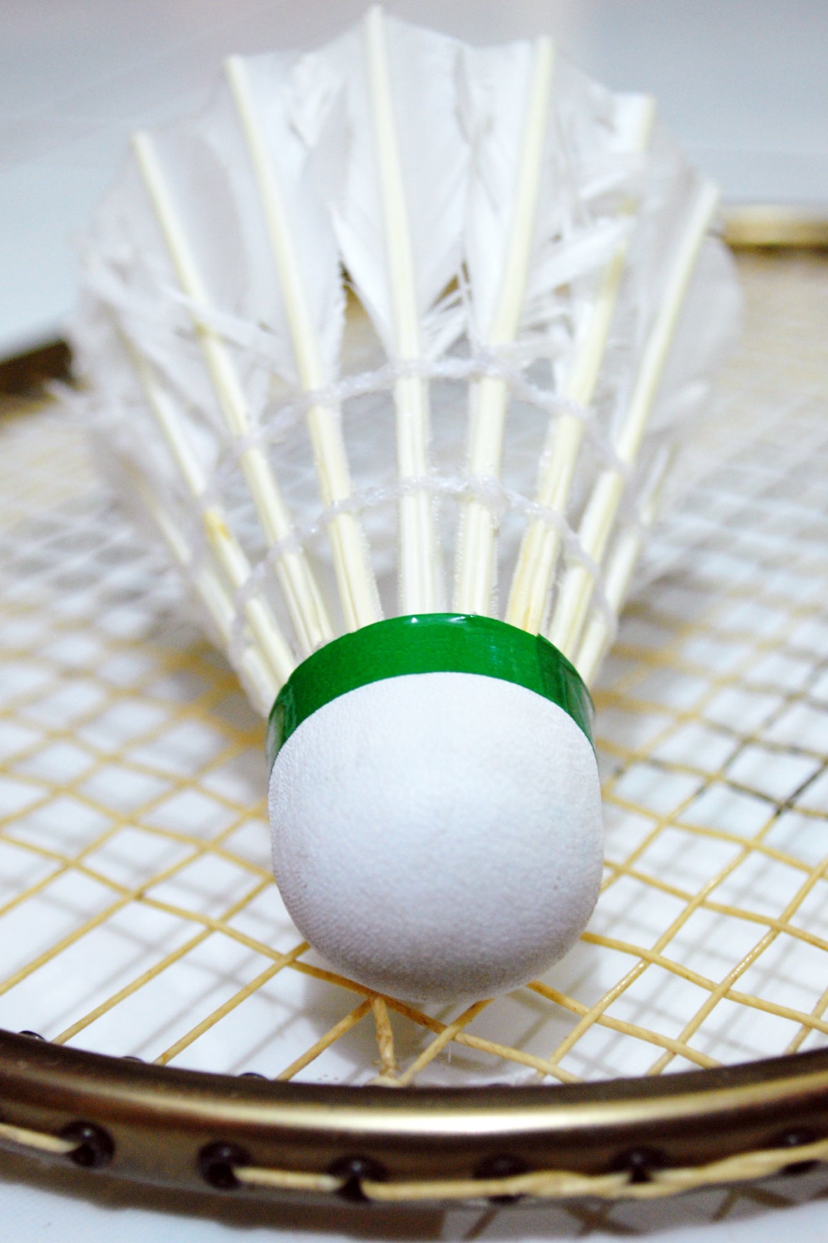 Bronze Shuttlecocks